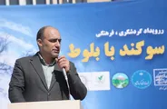 «سوگند با بلوط»؛ پیوند فرهنگ و طبیعت برای پاسداری از جنگل‌های فیروزآباد کرمانشاه