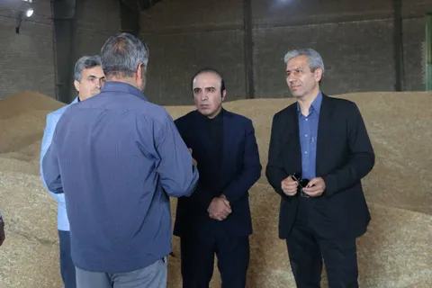 ‌

بیش از ۲۲۰هزار تن گندم در استان اردبیل خریداری شده است/ پیگیری مطالبات کشاورزان از سازمان برنامه و بودجه