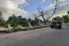 بازگشت ۴ هکتار از باغات قصردشت شیراز به چرخه سبز شهری