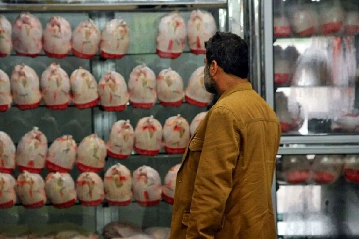 قیمت مرغ امروز دوشنبه ۲۰ مهر ۱۴۰۵ / یک شانه تخم‌مرغ چند؟