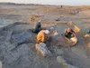 کشف بازی فکری ۴۶۰۰ ساله و شانه استخوانی منقوش در شهرسوخته