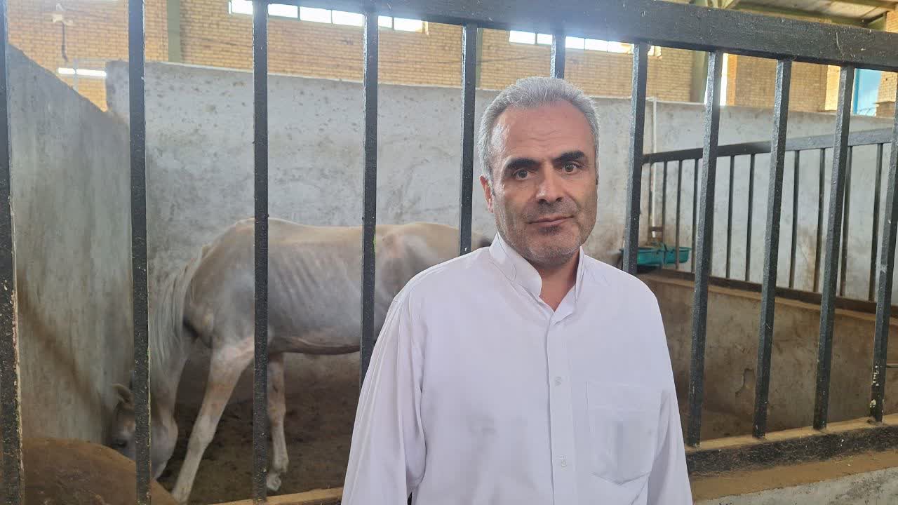 دوره تئوری وعملی مربیگری درجه سوارکاری در قزوین