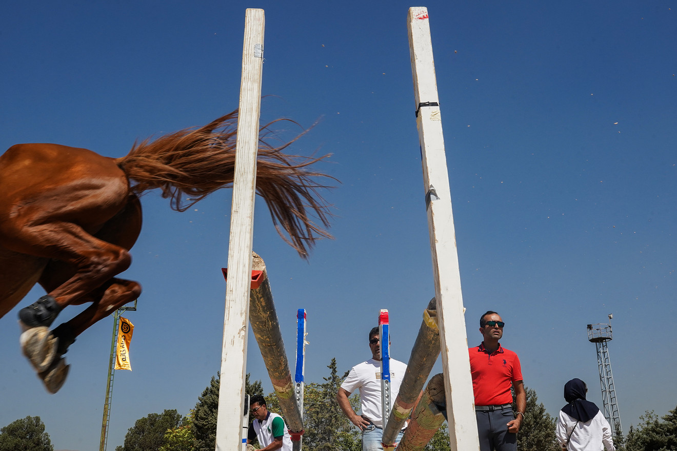 در مانژ گرم Warm-up Arena