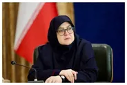 مهاجرانی: «پاک‌نژاد» با کارنامه موفق رفت؛ «بورد» از بدنه تخصصی وزارت نفت جایگزین شد