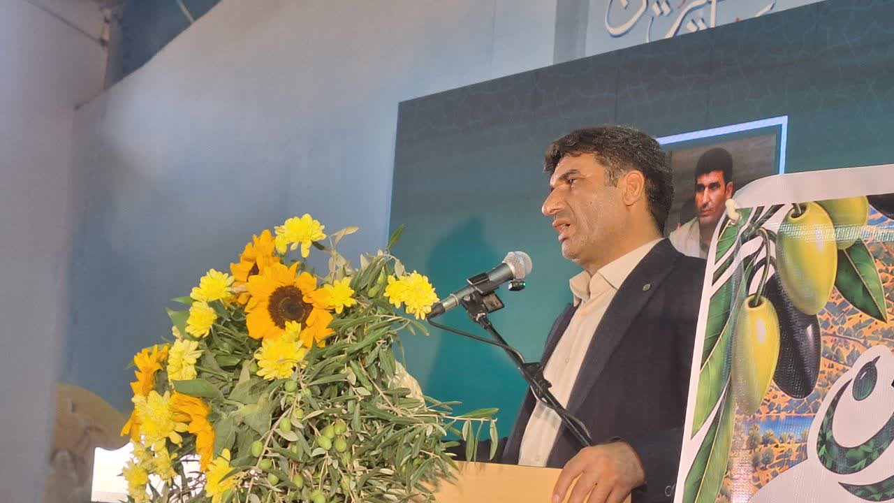 جشنواره ملی زیتون با حضور وزیر جهاد کشاورزی در طارم سفلی برگزار شد