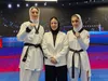 مسابقات تکواندو قزاقستان/ زرین‌کمر و میکائیلی نقره گرفتند