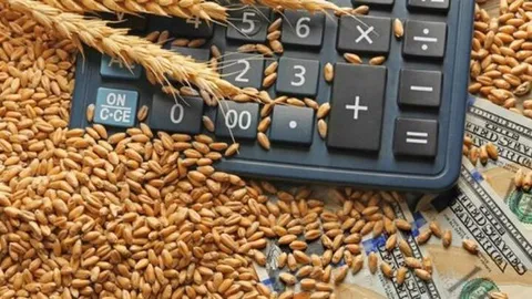 پرداخت ۱۰۰ همت به گندم‌کاران تا ۲۲ مرداد/ ۱۴۰ همت دیگر در انتظار تأمین اعتبار