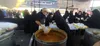 خدمات‌رسانی شهرداری منطقه ۷ برای اربعین حسینی