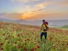 فصل ششم «ایرانگرد» از تلویزیون
