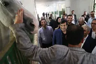 دنیامالی: مجموعه سوارکاری نوروزآباد باید با اولویت احیای زمین چوگان بازسازی شود