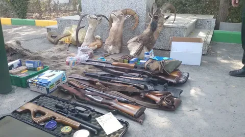 کشف سلاح و محموله غیر مجاز تاکسیدرمی در البرز