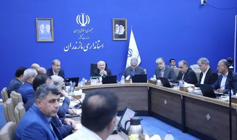 ساماندهی شبکه توزیع آرد روستایی و حمایت از سرمایه‌گذاران آردسازی در مازندران