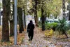 از رخوت عصرگاهی تا واقعیت «افسردگی پاییزی»