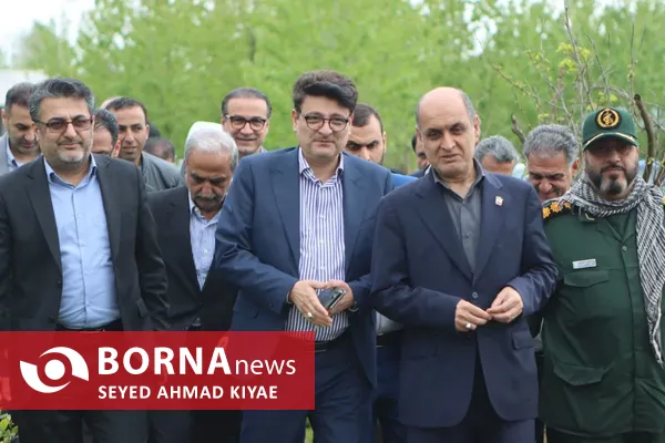 آیین برداشت چای بهاره