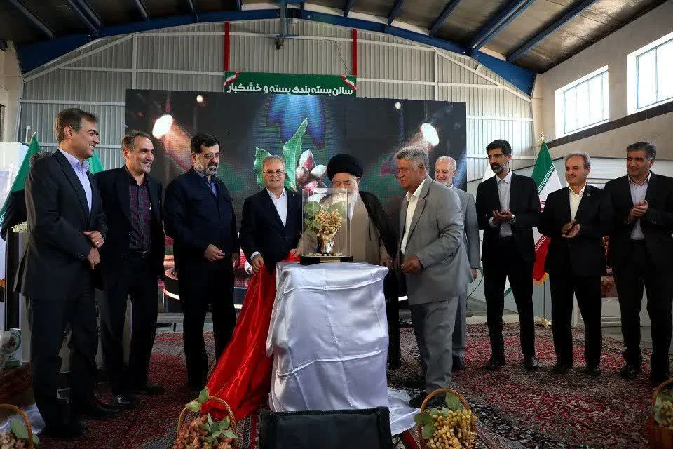 رقم جدید پسته «حسینی» رونمایی شد