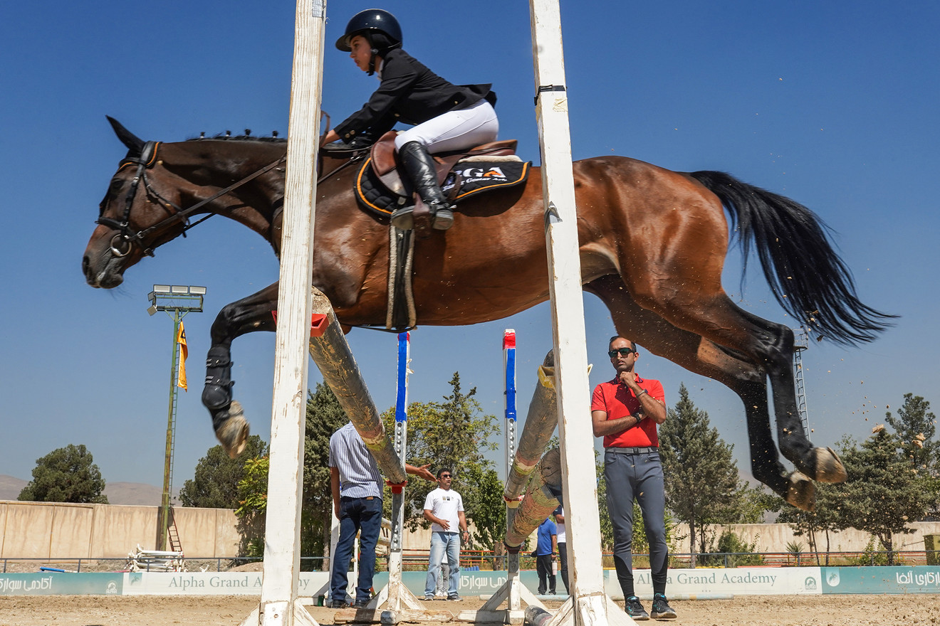 در مانژ گرم Warm-up Arena