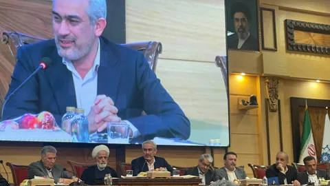 مدنی‌زاده: تعارض مقررات، فعالان اقتصادی را سردرگم کرده است