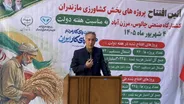 تامین سلامت فرآورده‌های خام دامی با توسعه کشتارگاه‌های صنعتی