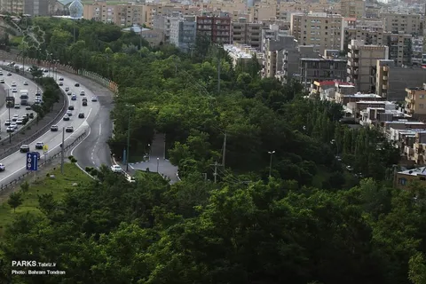 مدیریت‌شهری تبریز گام بلندی در مدار «شهر سبز» برداشته است
