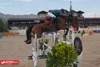 مسابقات سوارکاری جام سرهنگ نشاطی