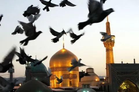 جایگاه امام رضا (ع) از دیدگاه آیت الله جوادی آملی