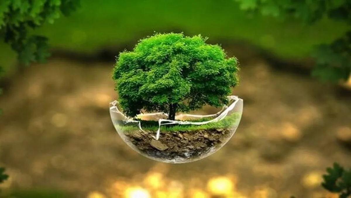 اعلام برنامه‌های روز زمین پاک ۱۴۰۵ توسط محیط زیست