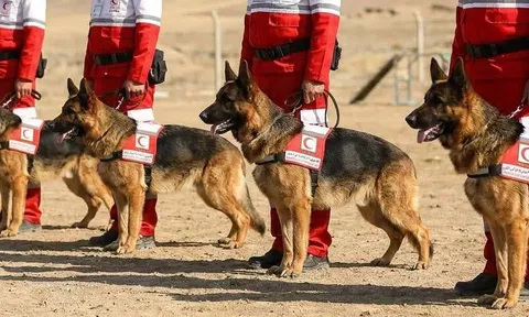 دو قلاده سگ زنده‌یاب به همراه سه مربی به واحد آنست هلال احمر قزوین افزوده شد