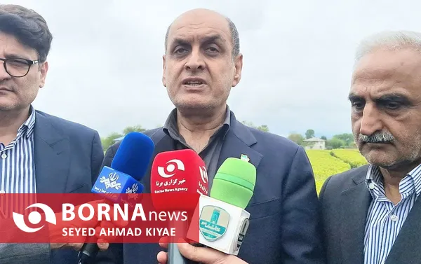 آیین برداشت چای بهاره