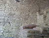 کشف ۵۰۰ تن برنج قاچاق در بندرعباس