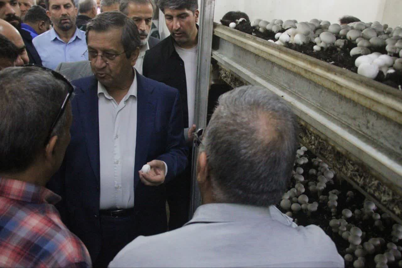 رییس کل بانک مرکزی: ارز کافی برای پاسخگویی به نیاز بازار داریم / اجازه نمی‌دهیم تلاطم و نوسان بر بازار ارز حاکم شود