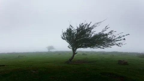 سرما در راه خراسان رضوی