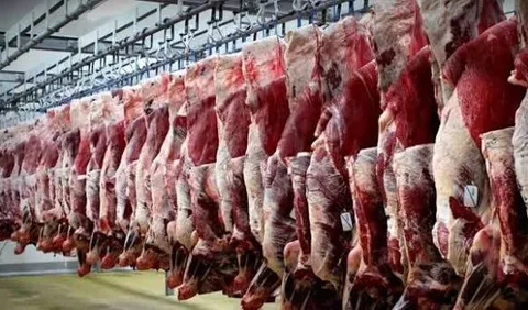 تولید ۴۰۰ تن گوشت قرمز توسط عشایر قم/ ۳۵۸ خانوار عشایری در استان فعالیت دارند