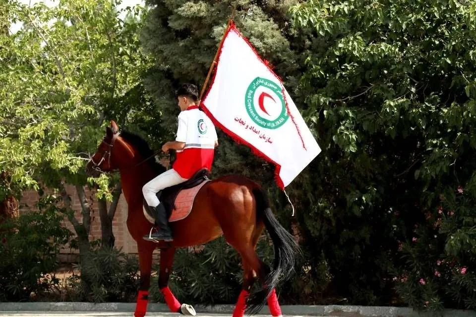 فدراسیون چوگان فدراسیون چوگان