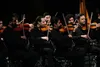 برگزاری اولین جلسه «میز تخصصی مطالعات موسیقی»