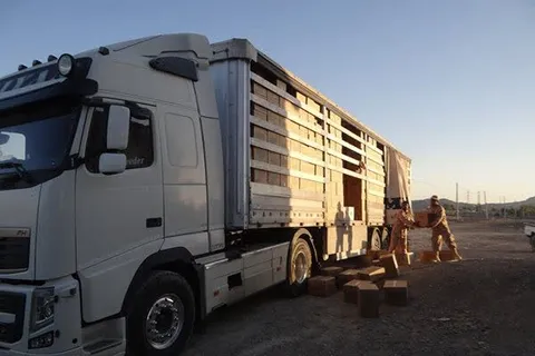 کشف ۳۷۸ تُن تخم‌مرغ قاچاق در شوش