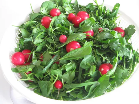 سبزی خوردن بسته‌بندی باید مطابق ضوابط سازمان غذا و دارو تولید شود