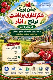 جشن بزرگ برداشت برنج عنبربو و انار در سیروان؛ تجلی تمدن و تلاش با پیوند کشاورزی، عشایر و گردشگری