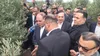 بازدید وزیر جهاد کشاورزی از یک واحد فرآوری زیتون در قزوین