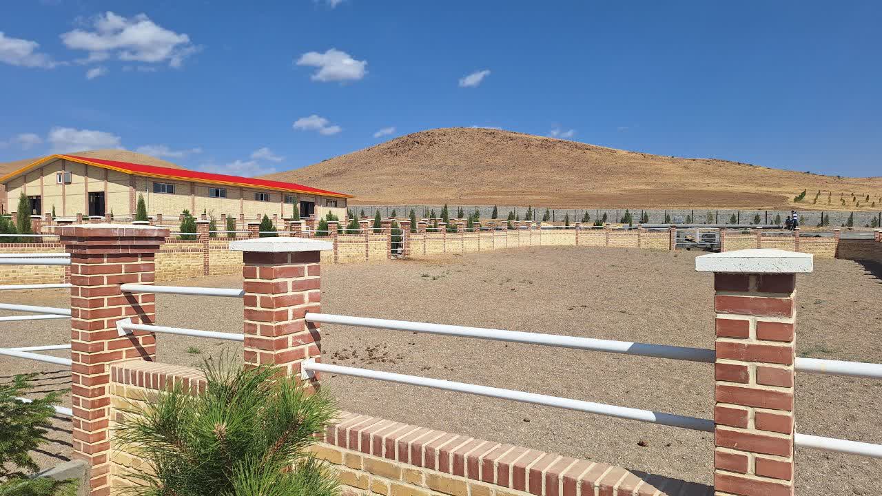 توسعه متوازن رشته‌های سوارکاری در اولویت برنامه های فدراسیون است