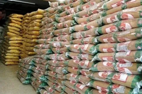 آغاز طرح ضربتی نظارت بر بازار در استان بوشهر