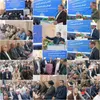 صادرات بیش از ۵ میلیون دلاری از مرز یزدان خراسان جنوبی