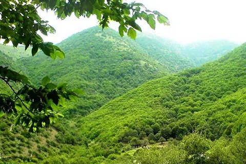 از ماکو تا گواتر، ۱۳۰ میلیون هکتار زیر چتر حفاظت