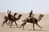 به منظور برای اعتلای ورزش شترسواری/ همکاری فدراسیون ورزش روستایی، عشایری و بازی‌های بومی محلی و انجمن علمی شتر ایران آغاز شد
