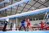نمایندگان ایران از مسابقات فستیوال جهانی کیک بوکسینگ ارمنستان ۱۲ مدال گرفتند