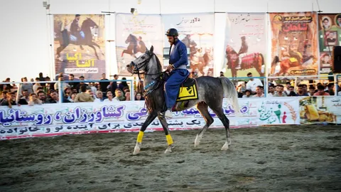 برگزاری شوسواره اسب کُرد در ماهیدشت؛ گامی برای رونق گردشگری کرمانشاه