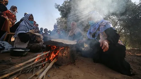 آتش‌سوزی باغ‌های زیتون فلسطینی‌ها توسط شهرکنشینان صهیونیست با حمایت ارتش