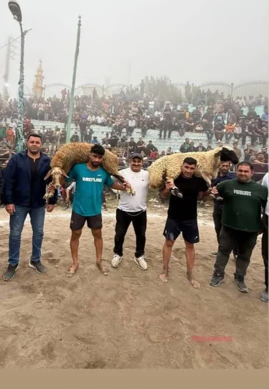 کشتی سنتی لوجو کشتی سنتی لوجو