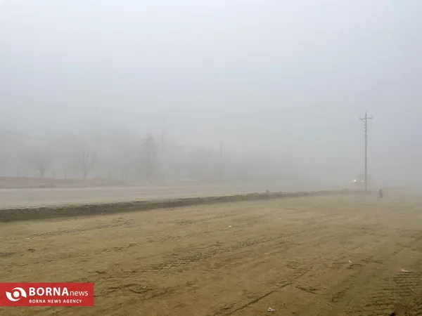 سرمای شدید و مه غلیظ در کشمیر هند