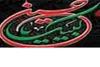 طنین ندای لبیك یا حسین(ع) در امامزادگان استان هرمزگان