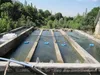 سرمایه‌گذاران پای کار توسعه آبزی‌پروری مزارع ریجاب آمدند/ پیگیری رفع مشکل برق